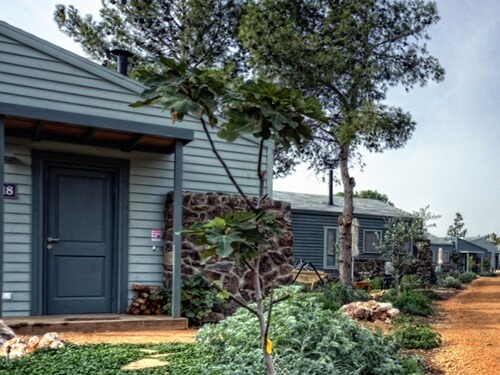 ורד הגליל- חוות סוסים